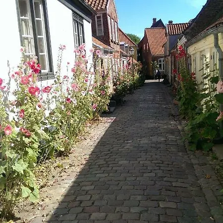 Hébergement de vacances Peder Dovns Slippe *