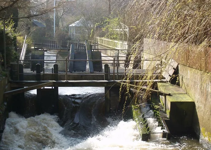 Peder Dovns Slippe Ribe